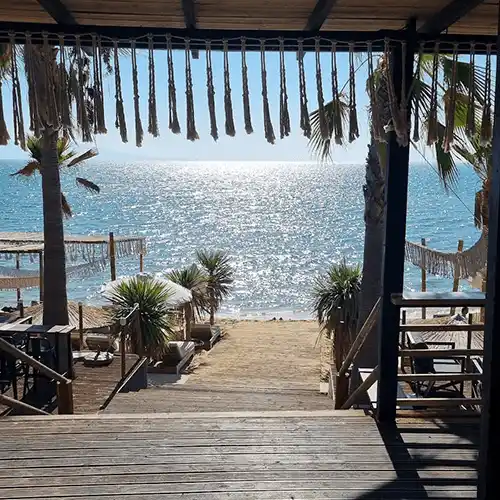 Paradise Beach Bar